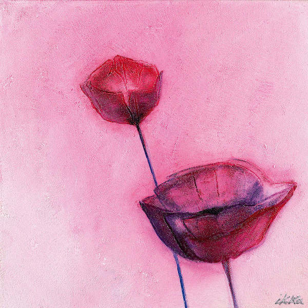 40cm x 40cm Poppy Sweet II von Erika Heinemann