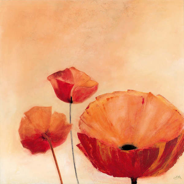 98cm x 98cm Poppy Queen von Erika Heinemann