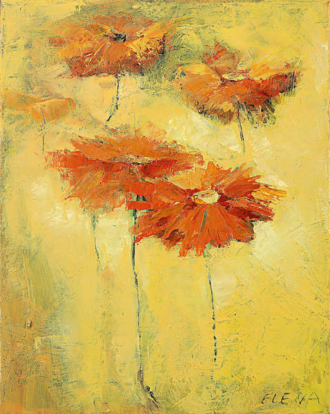 Array Feldblumen II von Elena Filatov