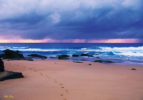 Array To the beach von John Xiong