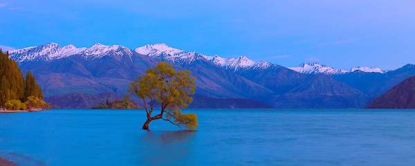 Array Wanaka von John Xiong