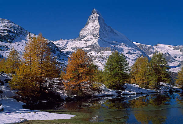 Array Matterhorn with Larches II von Thomas Marent