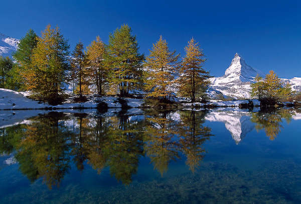 Array Matterhorn with Larches I von Thomas Marent