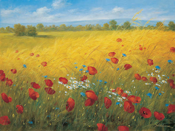 80cm x 60cm Sparkling field I von Heinz Schölnhammer