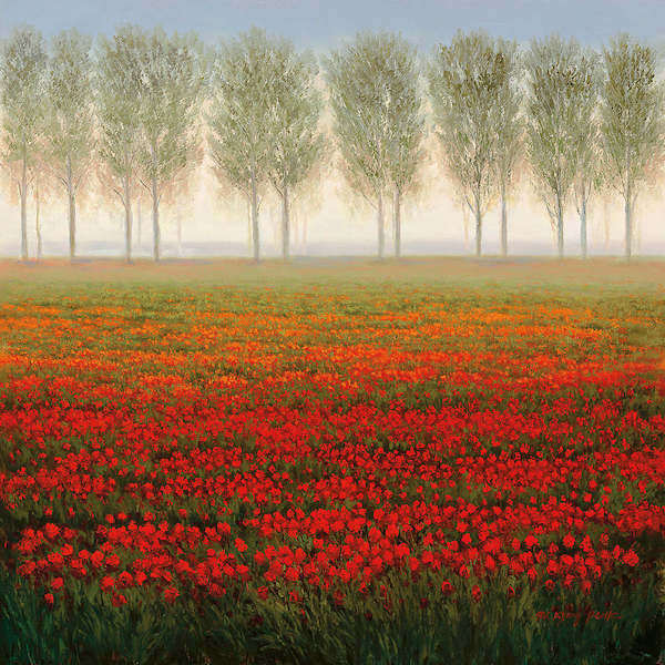 68cm x 68cm Morning Mist von Park