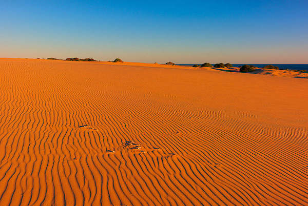 Array Myall Lakes Dunes von John Xiong