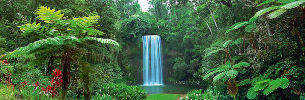 Array Millaa Millaa Falls, Australia von John Xiong