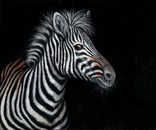 150cm x 125cm Zebra II von Jutta Plath