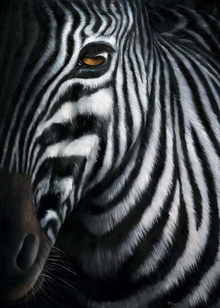 Array Zebra I                          von Jutta Plath