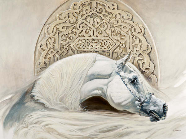 80cm x 60cm Arabian Pride von Renato Casaro