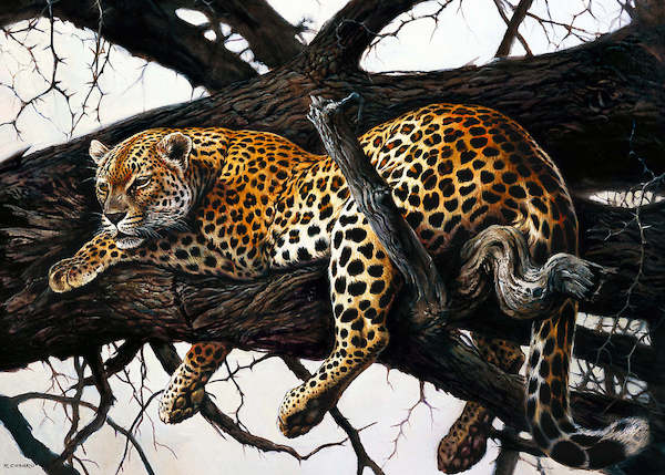 70cm x 50cm Laziness von Renato Casaro