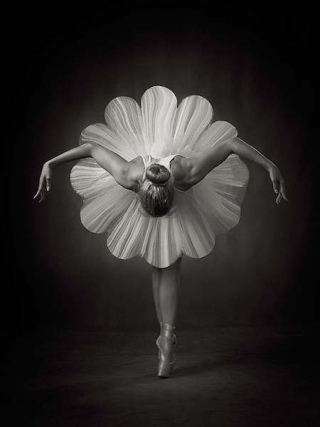 Array Floral Ballet von Catchlight Studio