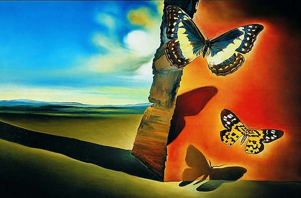 80cm x 60cm Paysage aux Papillons, SD-506 von Salvador Dali