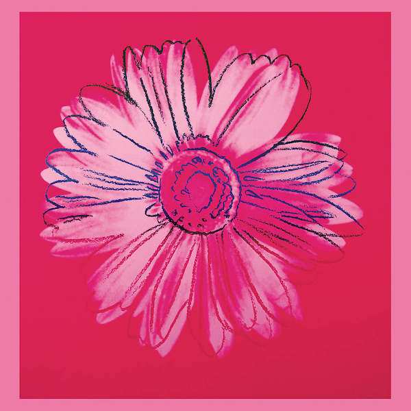 90cm x 90cm Daisy, 1982 von Andy Warhol