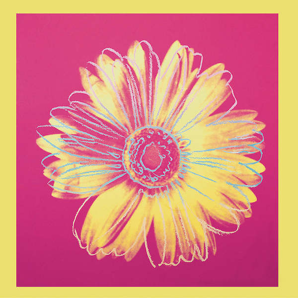 90cm x 100cm Daisy, 1982 von Andy Warhol