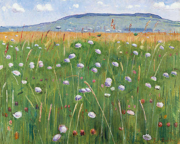 100cm x 80cm Wiesenstück von Ferdinand Hodler