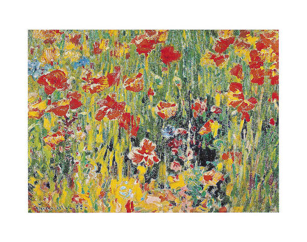 71cm x 56cm Mohnblumen, 1888, RWV-30L von Robert William   Vannoh