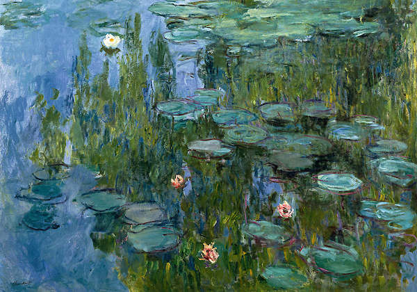 Array Seerosen (Nympheas)              von Claude Monet