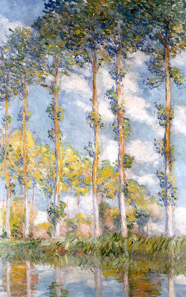 Array Pappeln                          von Claude Monet