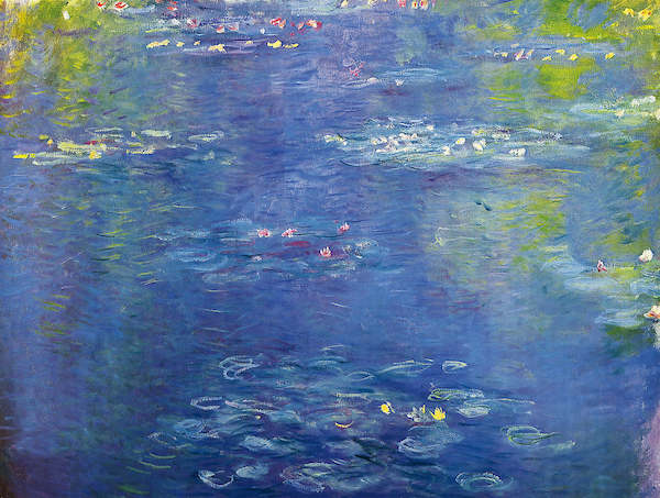 Array Nympheas II von Claude Monet