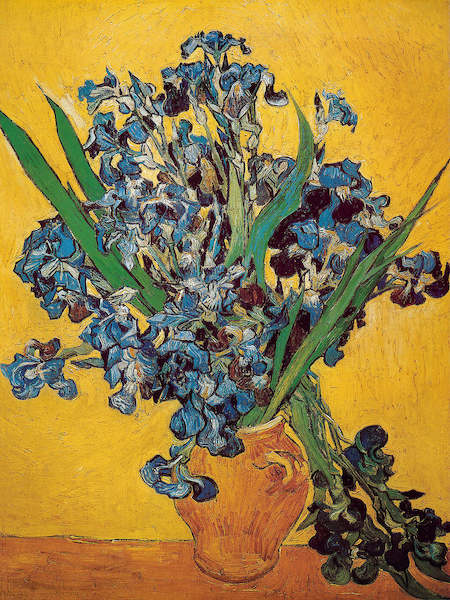 Array Iris in der Vase von Vincent Van Gogh