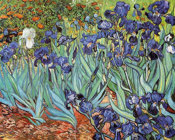 Array Iris von Vincent Van Gogh