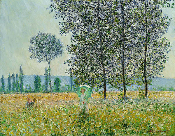 Array Felder im Frühling von Claude Monet