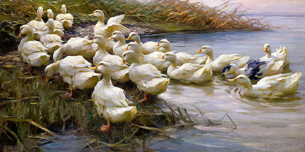 100cm x 50cm Enten am Seeufer von Alexander Koester