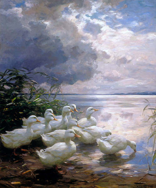 100cm x 120cm Enten am Seeufer von Alexander Koester