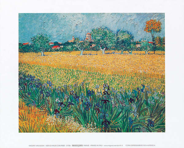 30cm x 24cm Vista di Arles con irises von Vincent Van Gogh