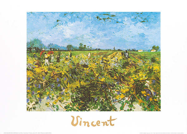 70cm x 50cm The green vineyard von Vincent Van Gogh