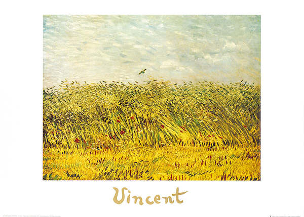 70cm x 50cm The wheat field                  von Vincent Van Gogh