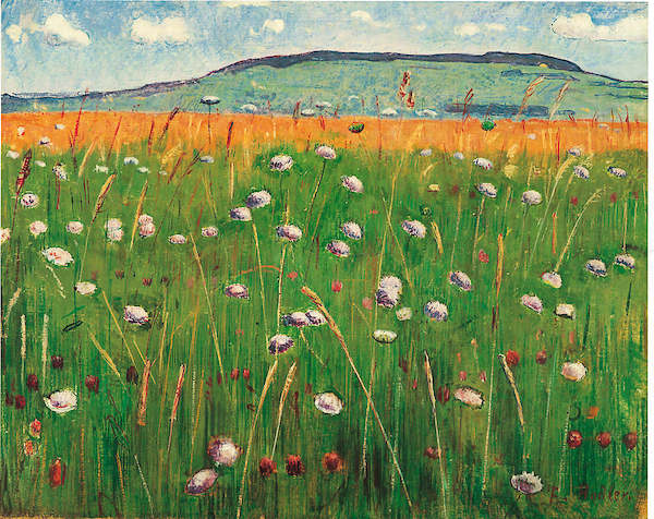 71cm x 56cm Wiesenstück, 1900/1902           von Ferdinand Hodler