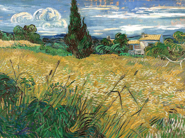 80cm x 60cm Campo di grano von Vincent Van Gogh