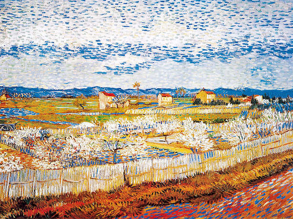 80cm x 60cm Pesco in fiore von Vincent Van Gogh