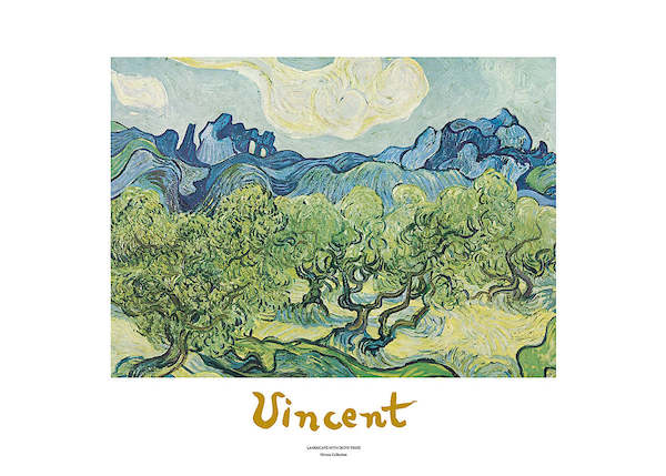 70cm x 50cm Landscapes with olive trees von Vincent Van Gogh