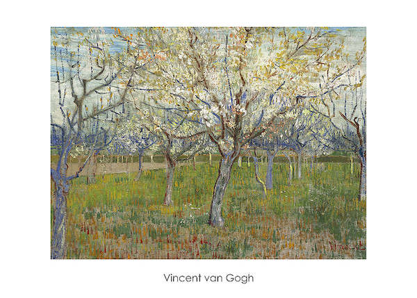 70cm x 50cm The Orchard von Vincent Van Gogh