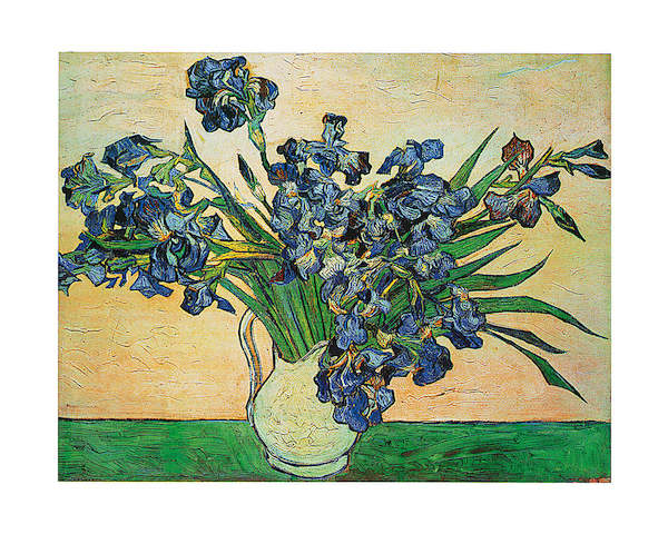 50cm x 40cm Iris Strauss, 1890 von Vincent Van Gogh