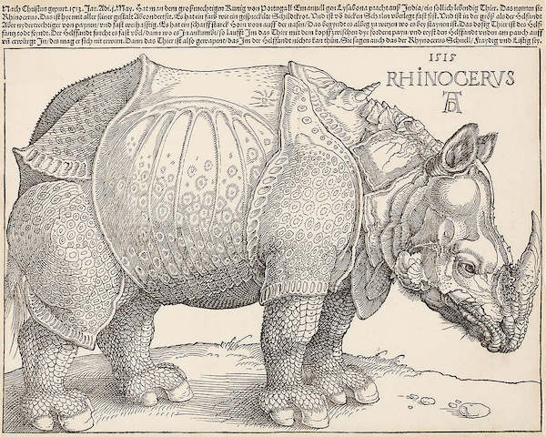 Array Rhinocerus von Albrecht Dürer