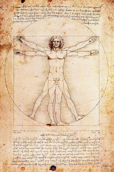 Array Proportionszeichnung nach Vitruv von Leonardo Da Vinci