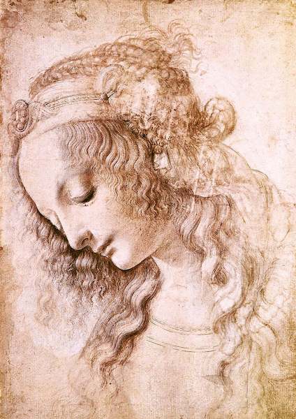 Array Frauenkopf                       von Leonardo Da Vinci