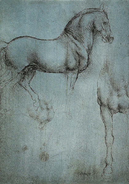 35cm x 50cm Studio di cavalli                von Leonardo Da Vinci