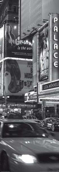 33cm x 95cm Times Sqare at night, New York von Alan Copson