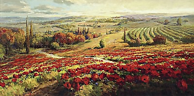 120cm x 60cm Red Poppy Panorama von LOMBARDI