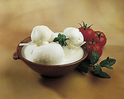 50cm x 40cm Mozzarella von MARCIALIS