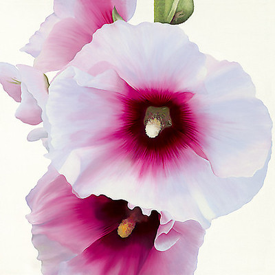 Array White Hollyhock I von Stephanie Andrew