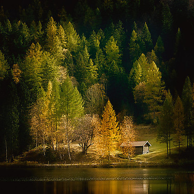 Array Nature Art Color I von Uwe Steger