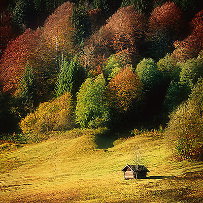 Array Nature Art Color II von Uwe Steger