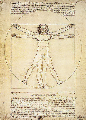 Array Vitruvian Man von Leonardo Da Vinci