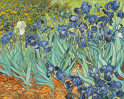 Array Iris von Vincent Van Gogh